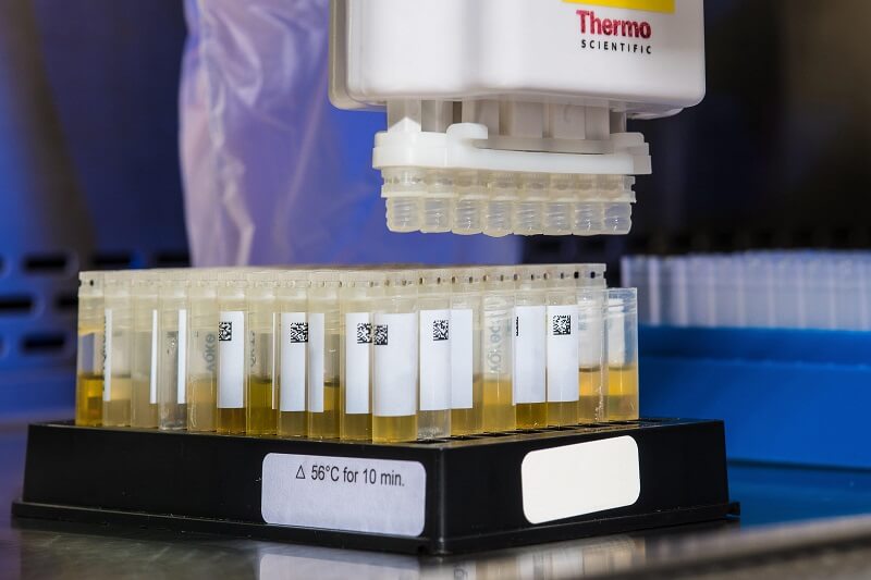 synthetic urine testing